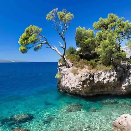 Two Bedroom With Terrace And Swimming Pool * Zagvozd